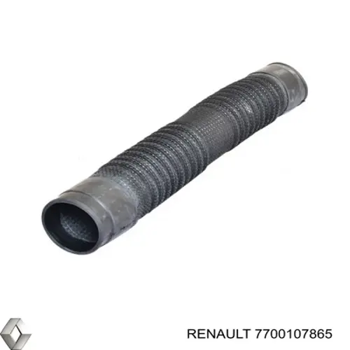 Купить 7700107865 Renault (RVI) 