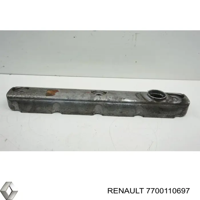  7700110697 Renault (RVI)