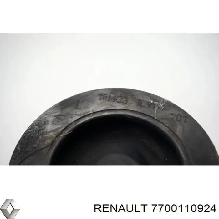 Поршень в сборе Renault (RVI) 7700110924 цена, от 54.02 USD