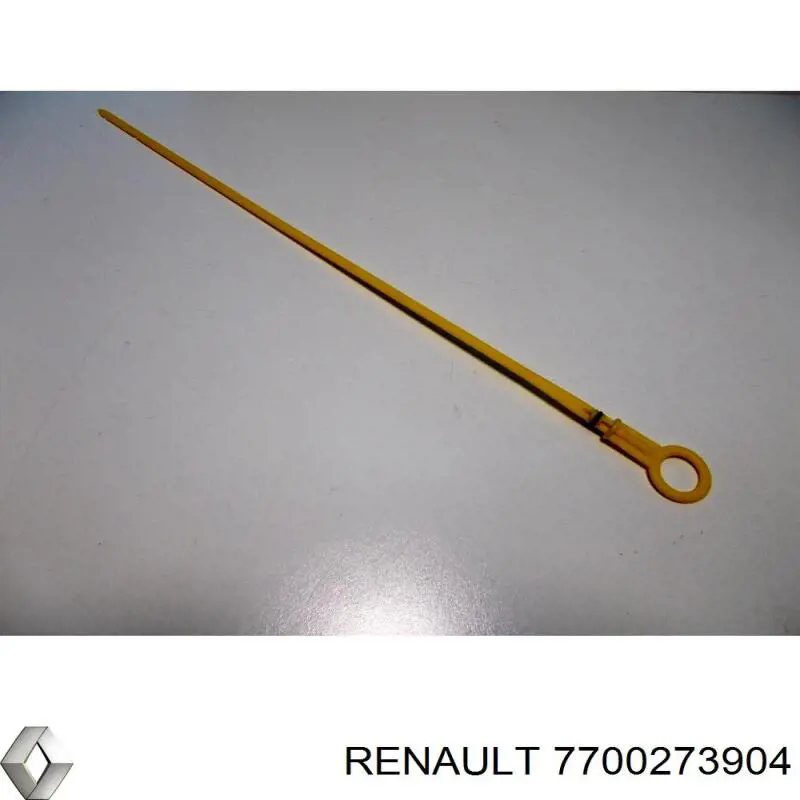 7700273904 Renault (RVI)