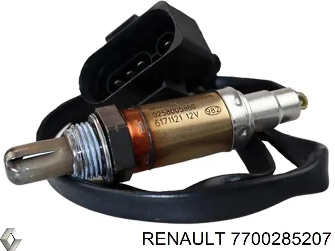  7700285207 Renault (RVI)
