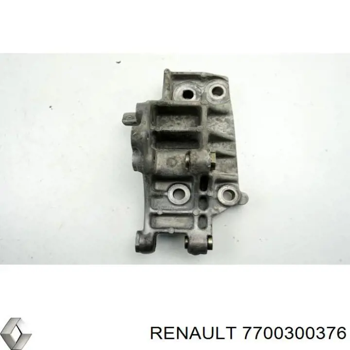 7700300376 Renault (RVI) 