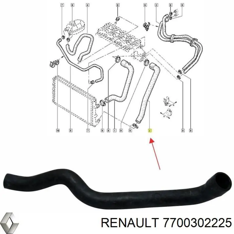 Купить 7700302225 Renault (RVI) Шланг радиатора охлаждения нижний