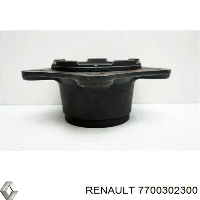 7700302300 Renault (RVI) ступица задняя
