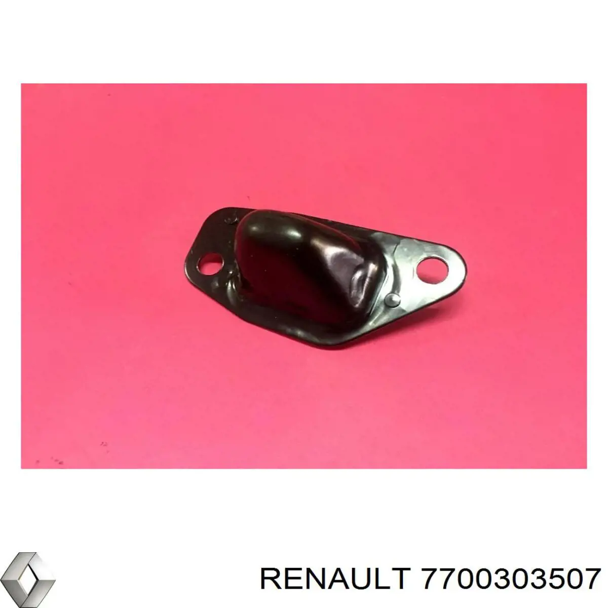  7700303507 Renault (RVI)