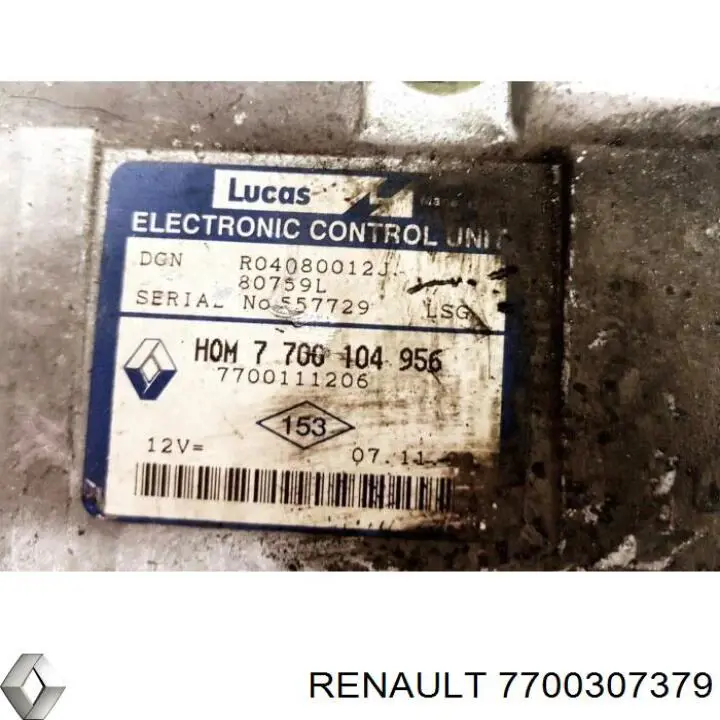  7700307379 Renault (RVI)