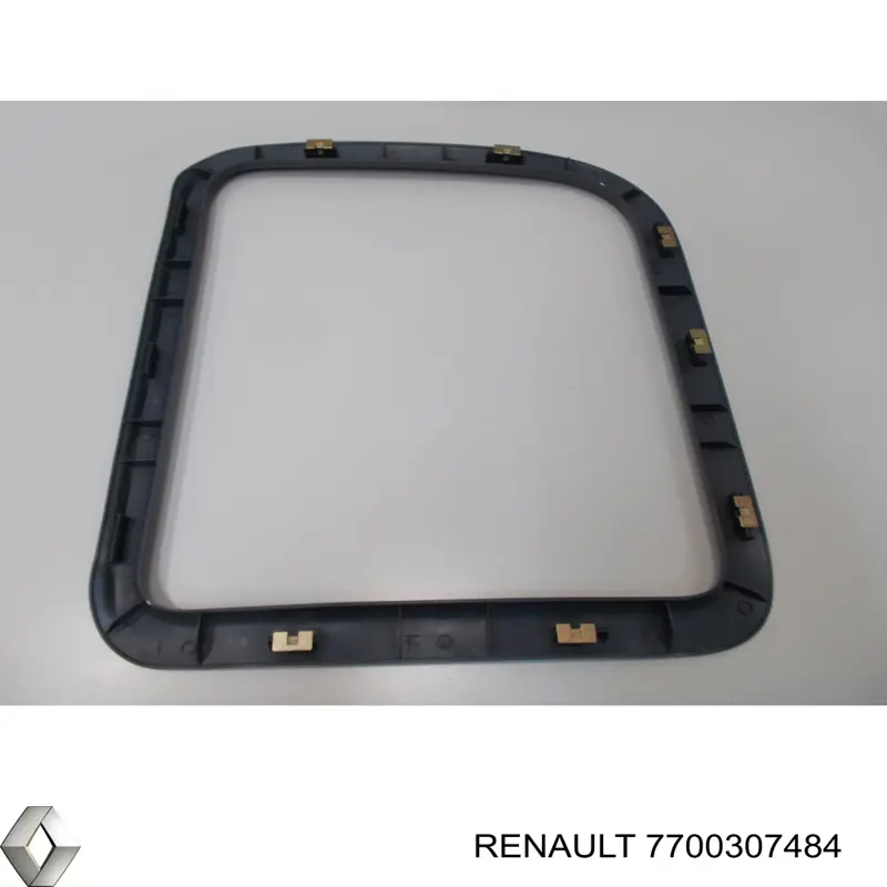  7700307484 Renault (RVI)