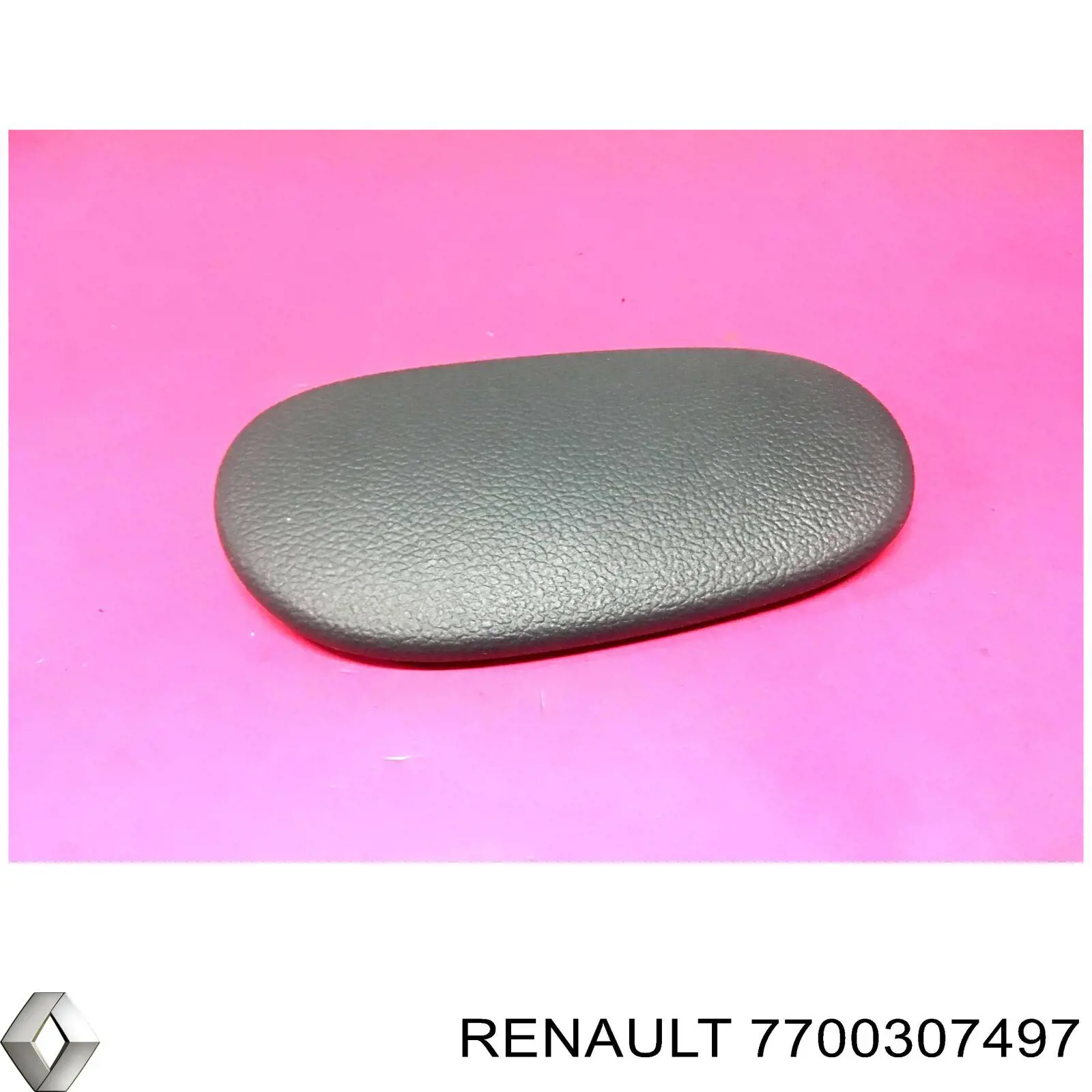 7700307497 Renault (RVI) 