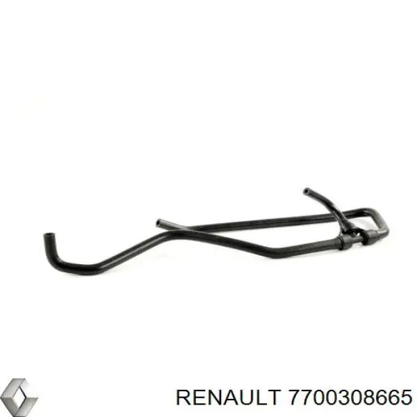  7700308665 Renault (RVI)