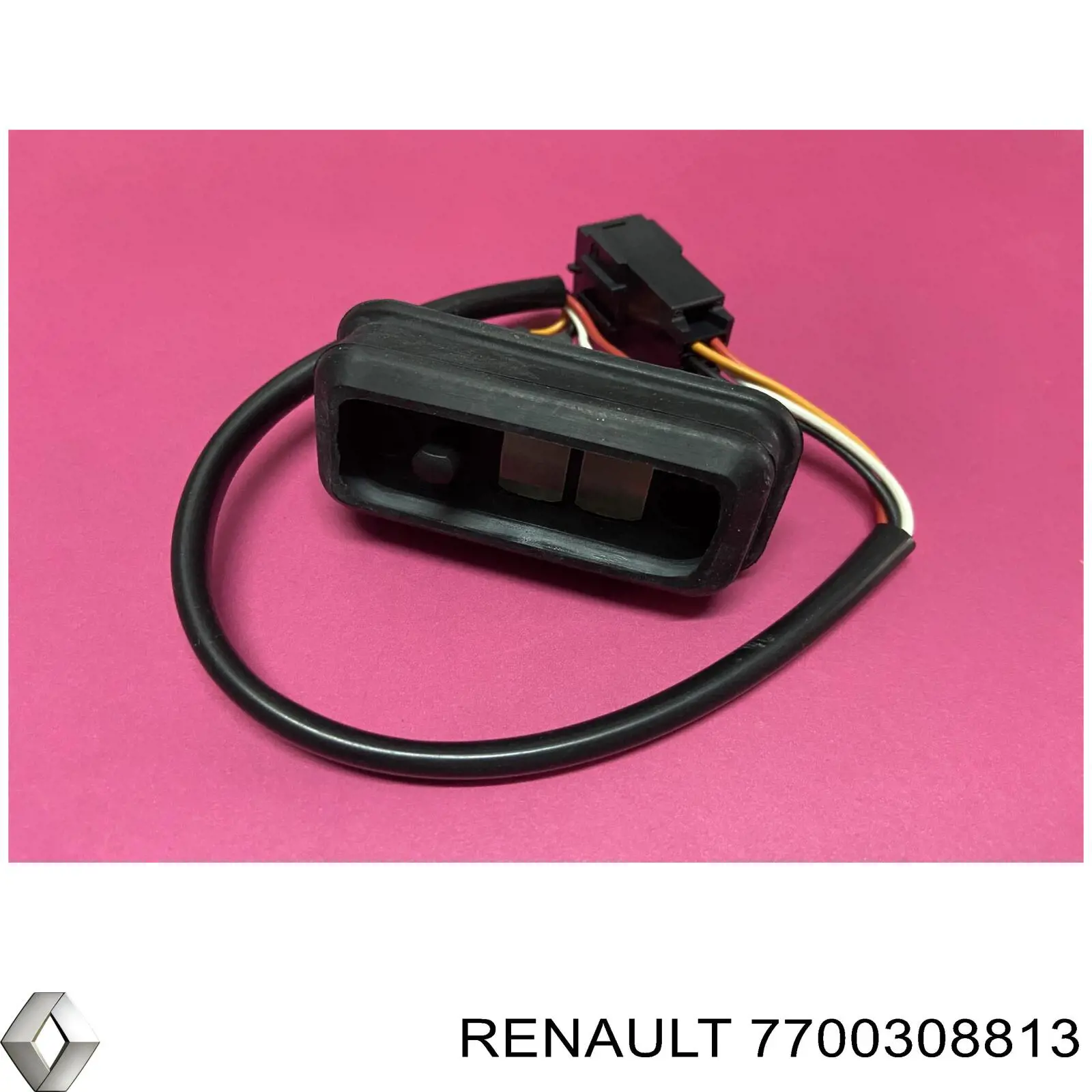 7700308813 Renault (RVI) 