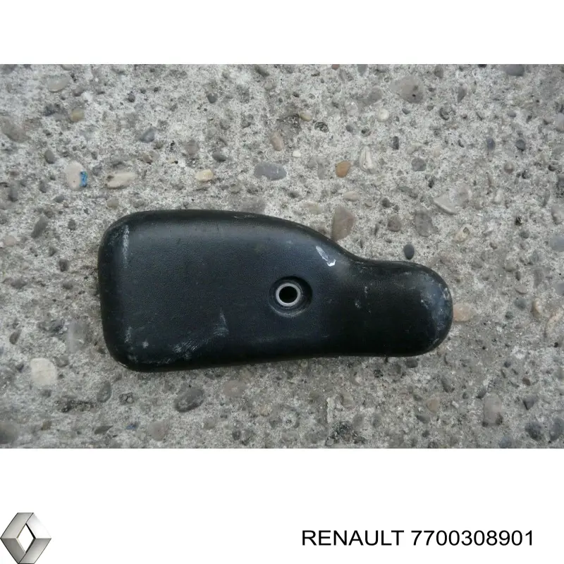 7700308901 Renault (RVI) 