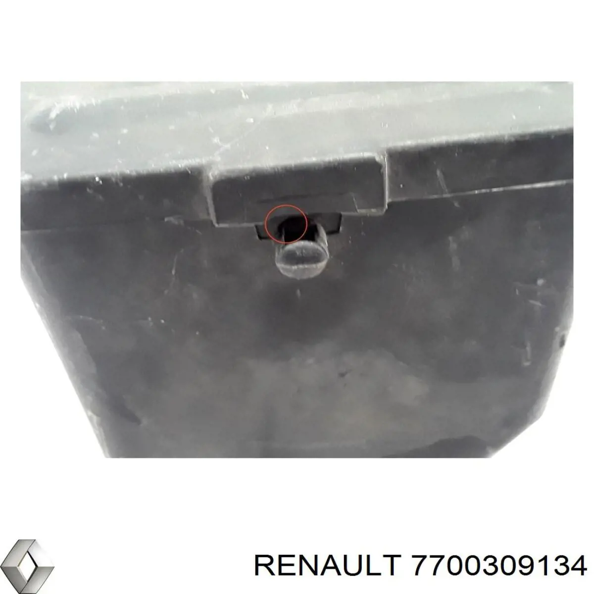 7700309134 Renault (RVI) 