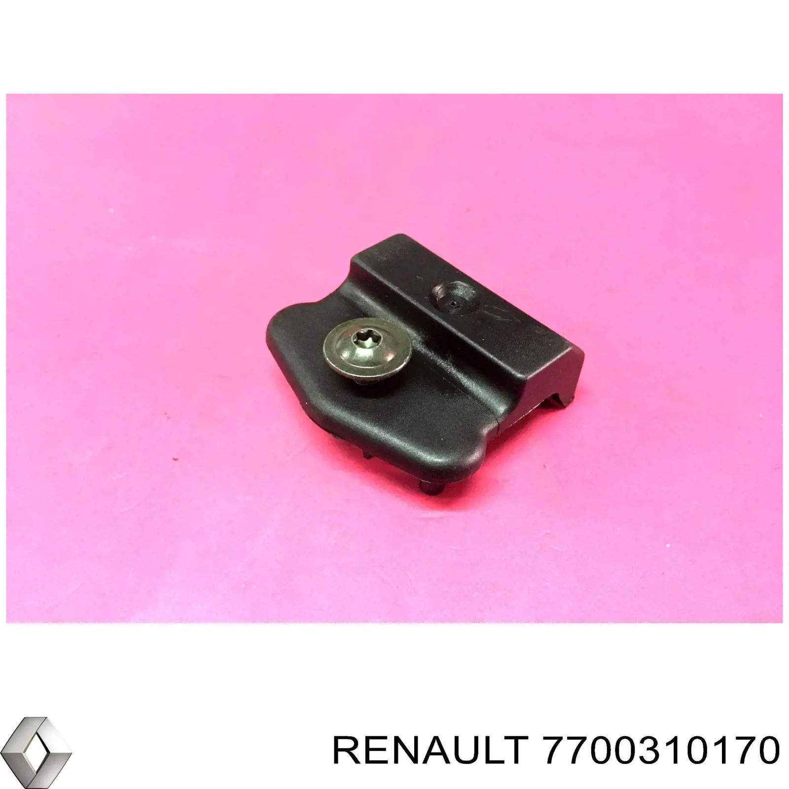  7700310170 Renault (RVI)