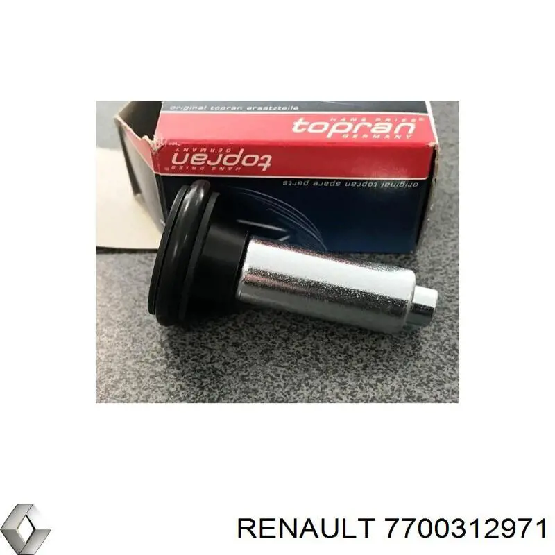 7700312971 Renault (RVI)