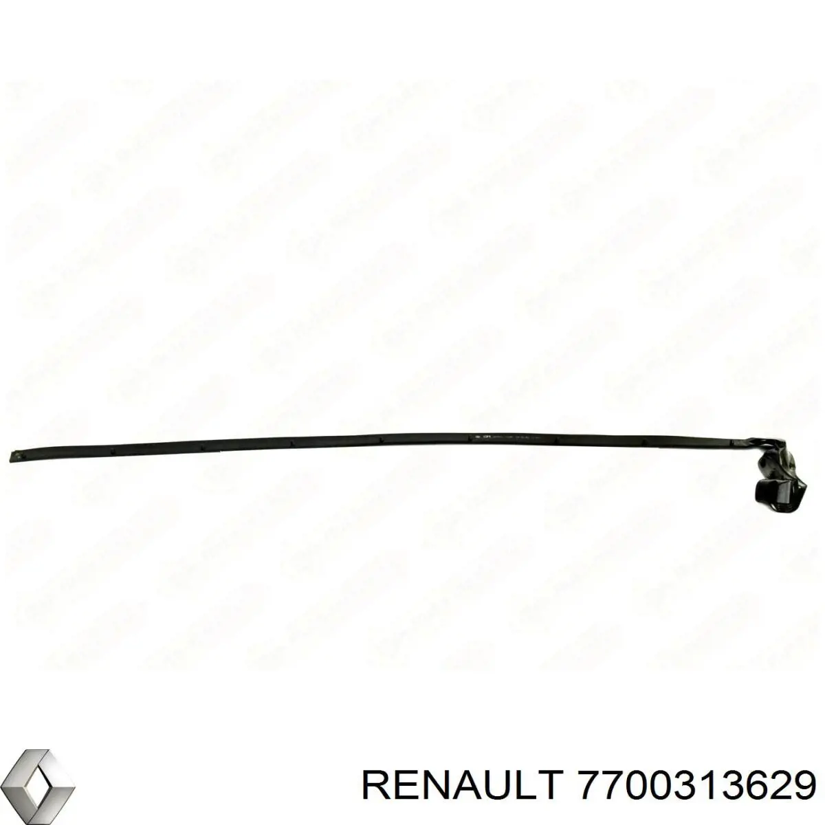 7700313629 Renault (RVI) 