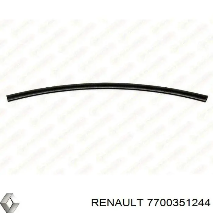  7700351244 Renault (RVI)