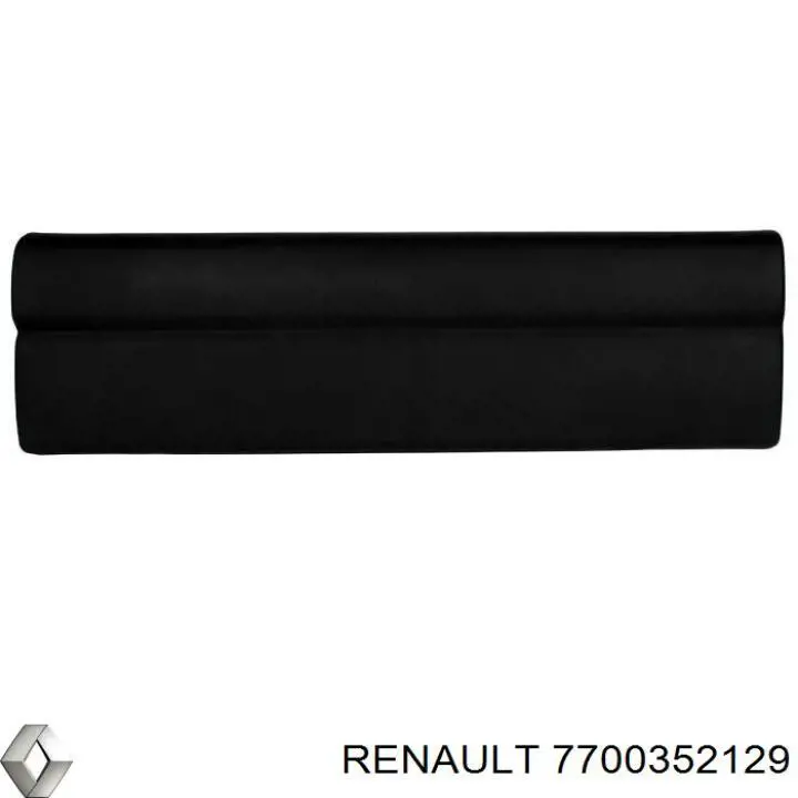 8200653837 Renault (RVI) Накладка задней распашной двери правая