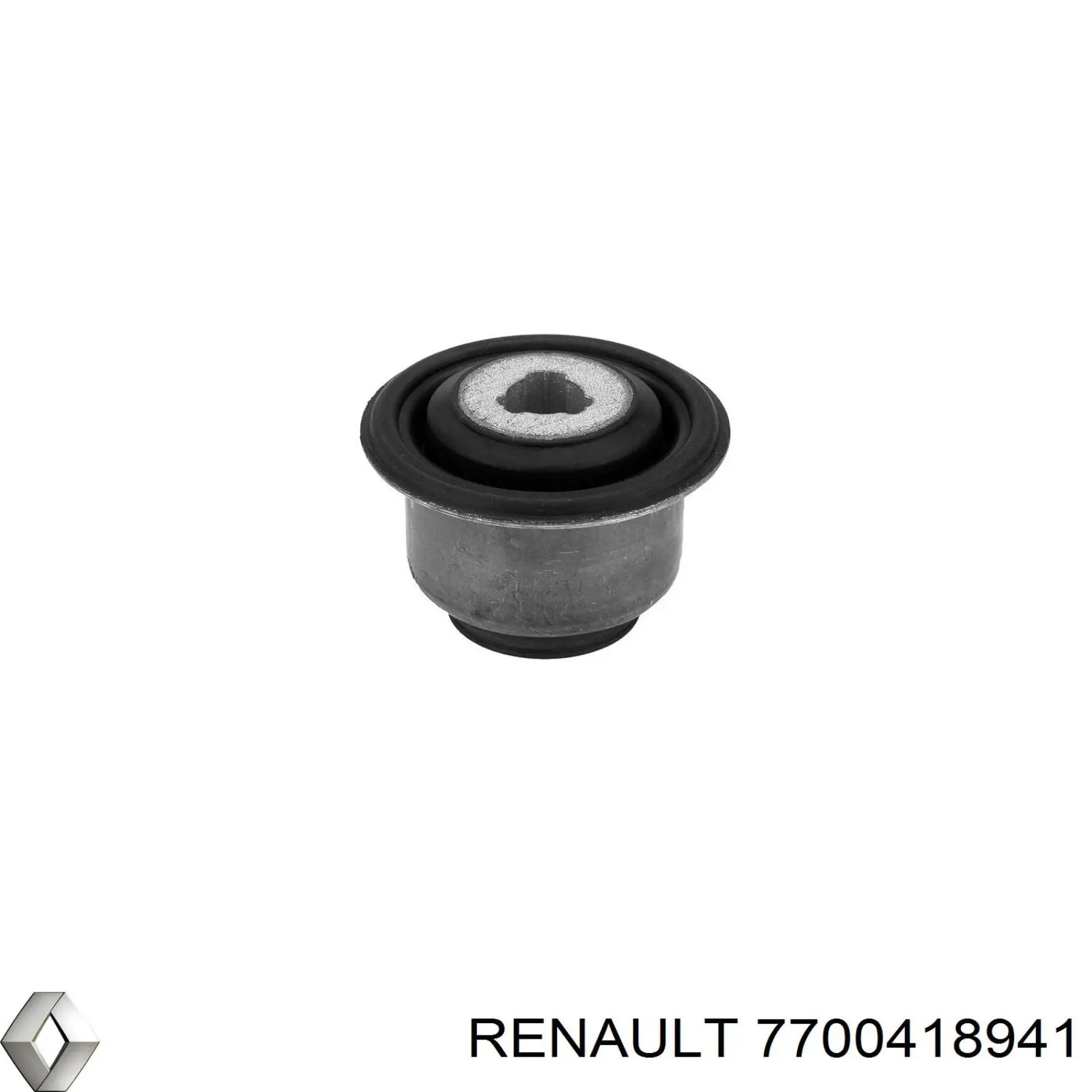 7700418941 Renault (RVI) 