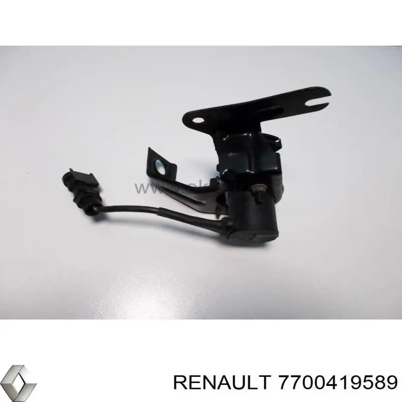  7700419589 Renault (RVI)