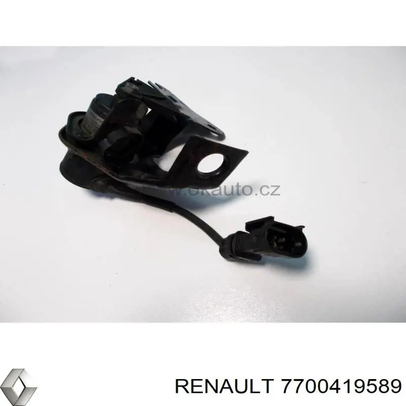 Купить 7700419589 Renault (RVI) 