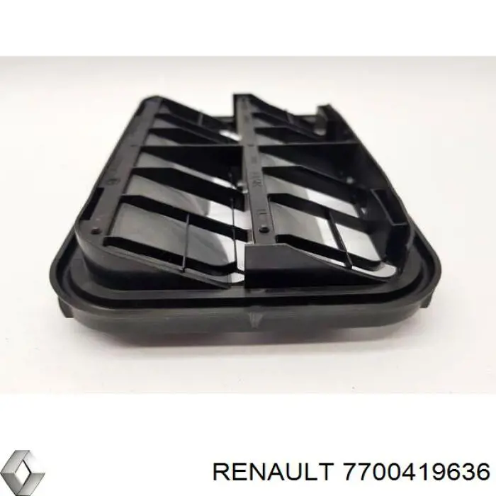  7700419636 Renault (RVI)