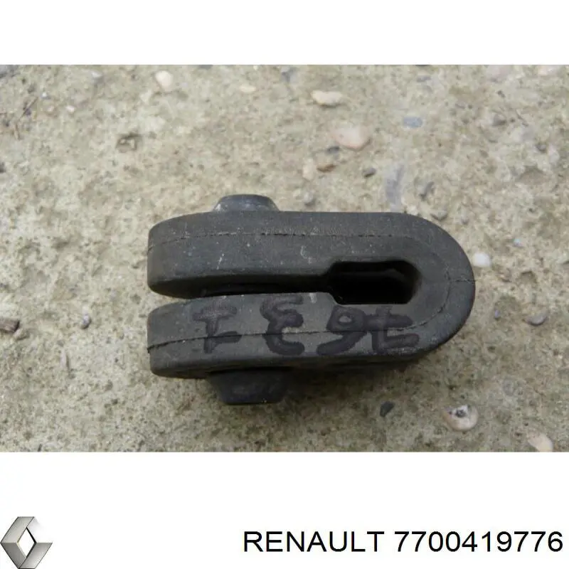 7700419776 Renault (RVI) 