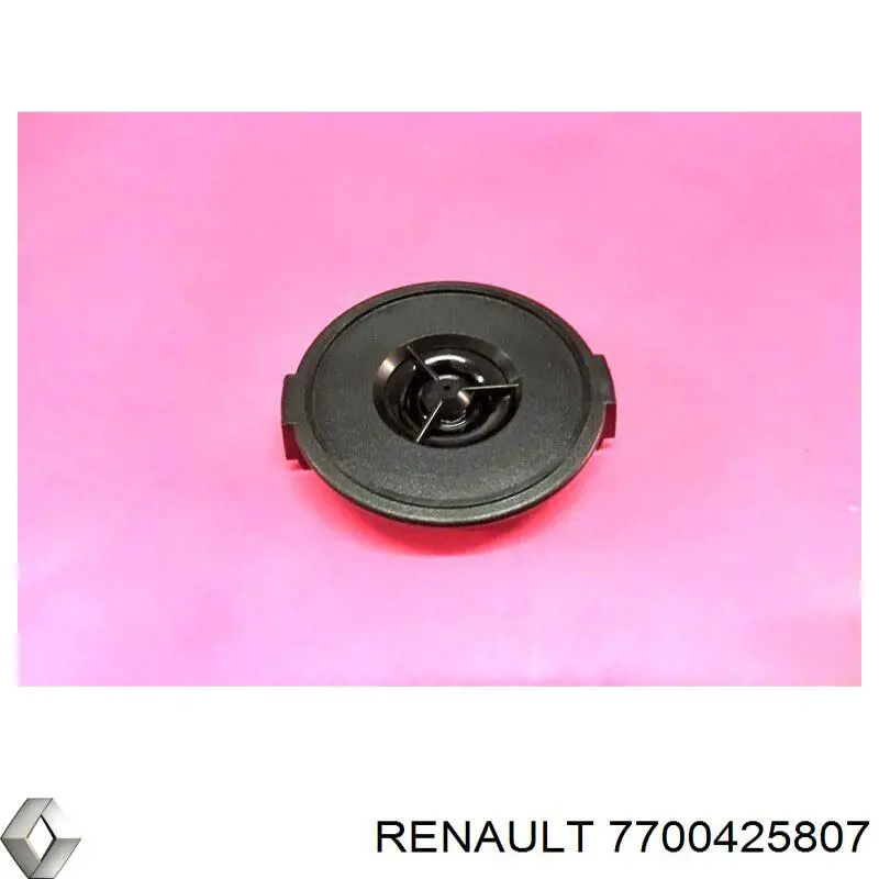  7700425807 Renault (RVI)