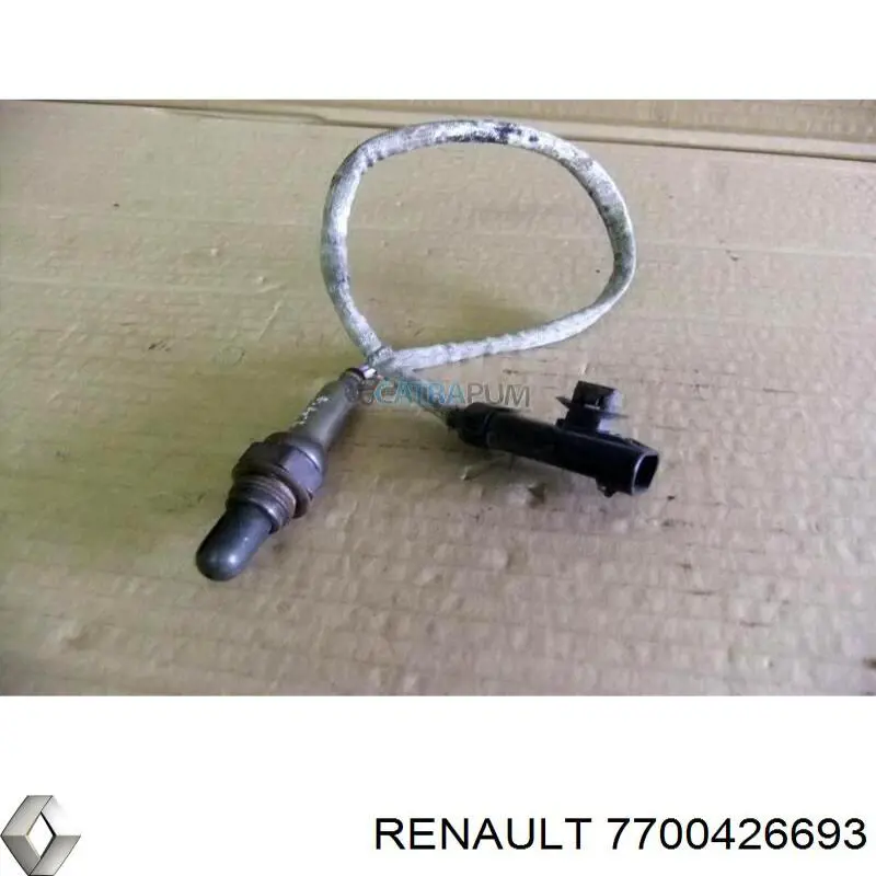 Амортизатор задний 7700426693 Renault (RVI)