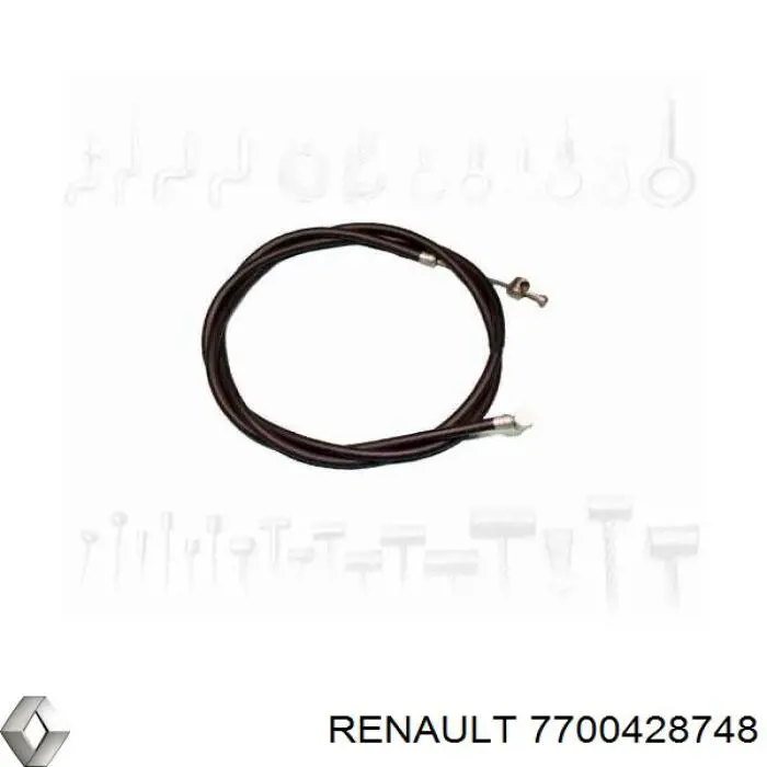 7700428748 Renault (RVI)