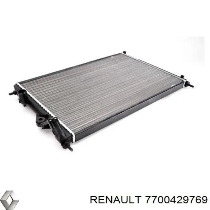7700429769 Renault (RVI)