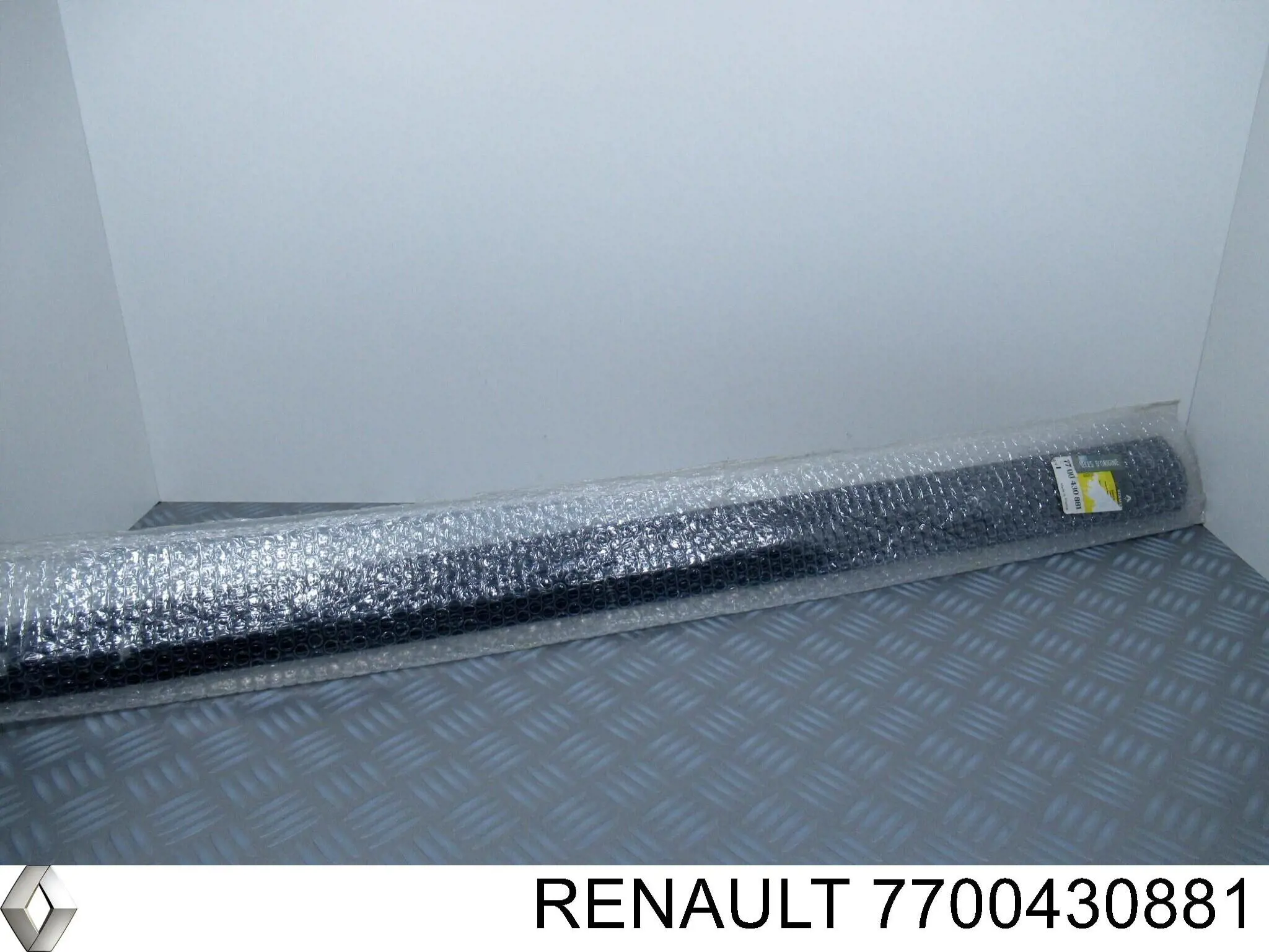  7700430881 Renault (RVI)