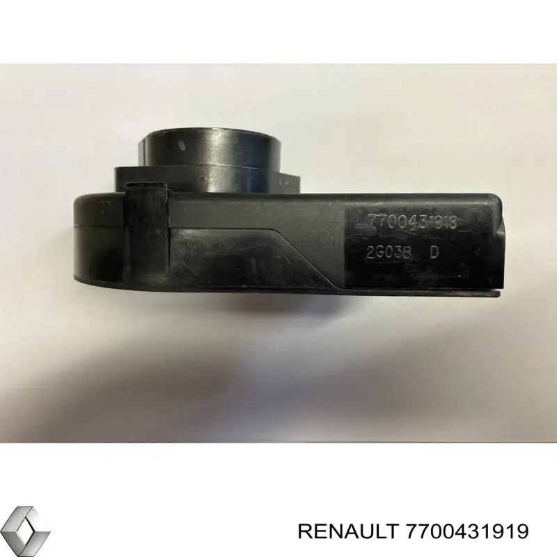  7700431919 Renault (RVI)