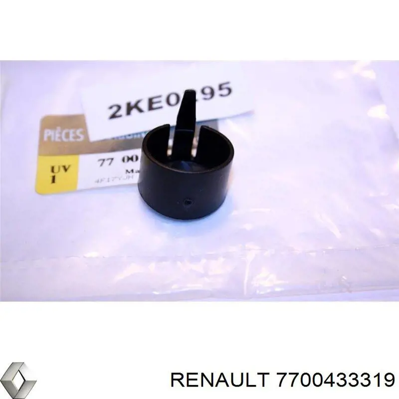 7700433319 Renault (RVI)