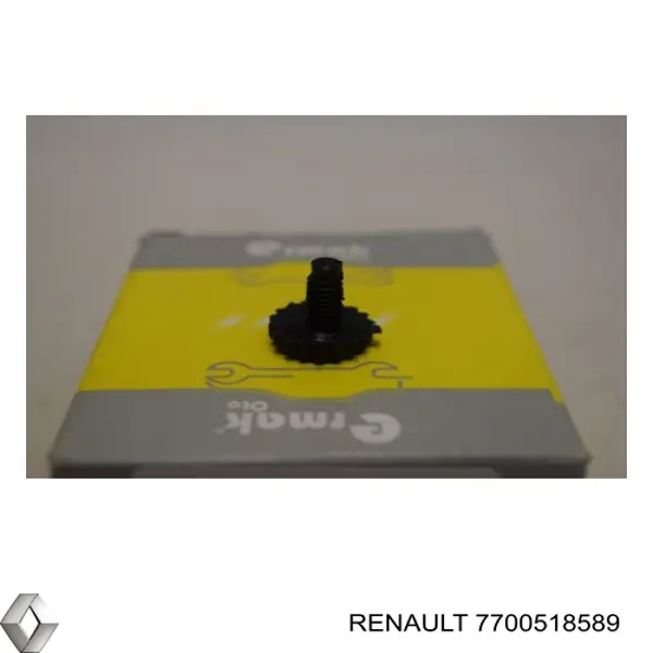  7700518589 Renault (RVI)