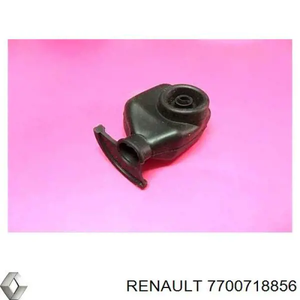 7700718856 Renault (RVI)