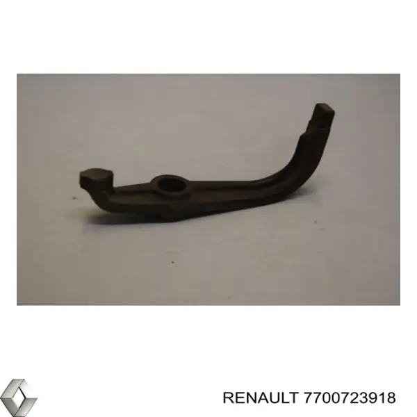  7700723918 Renault (RVI)