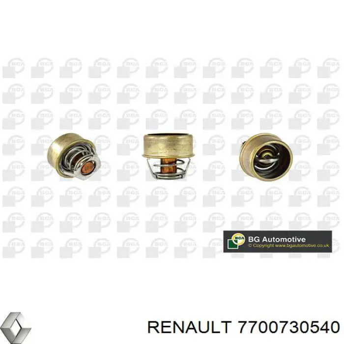 7700730540 Renault (RVI)