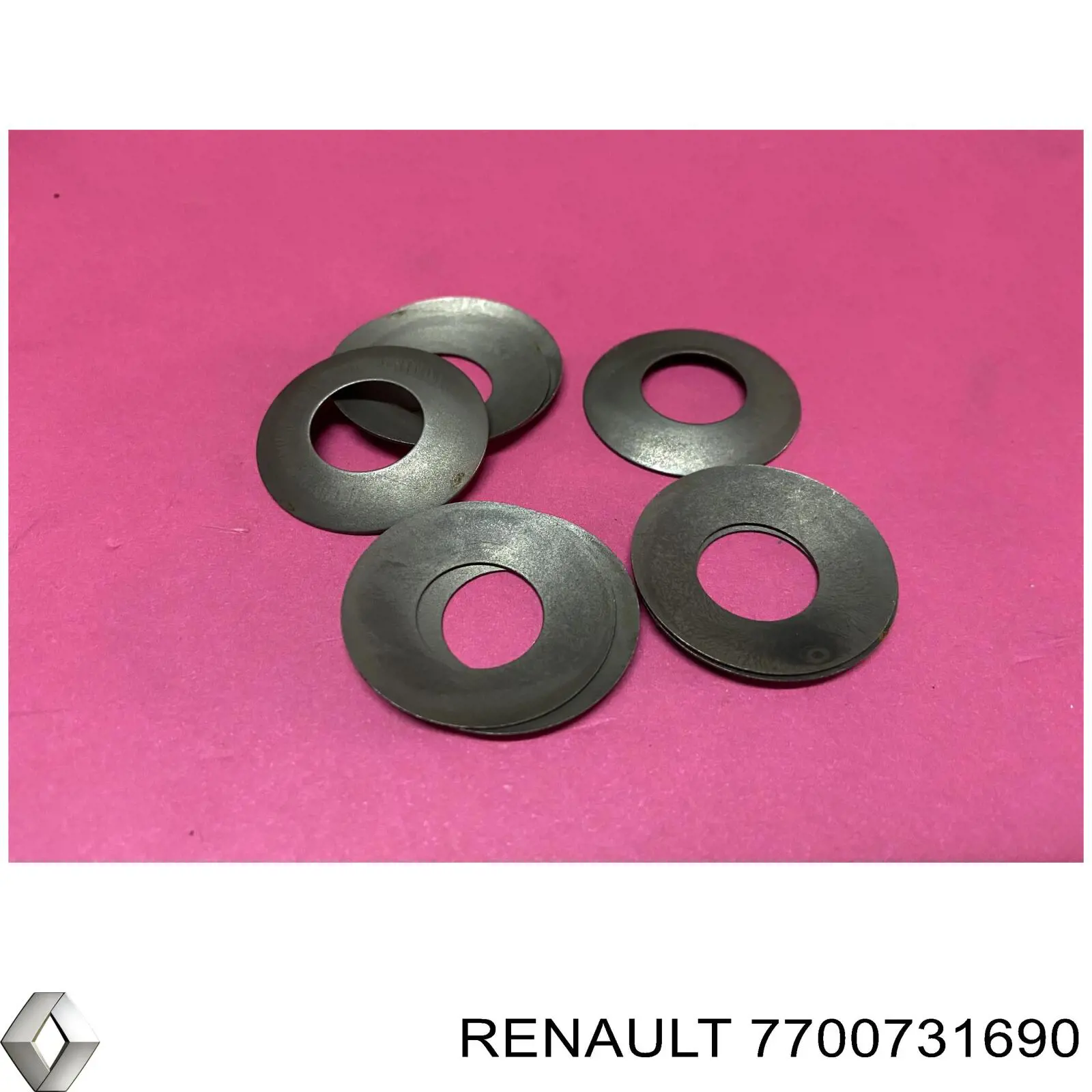 7700731690 Renault (RVI) 