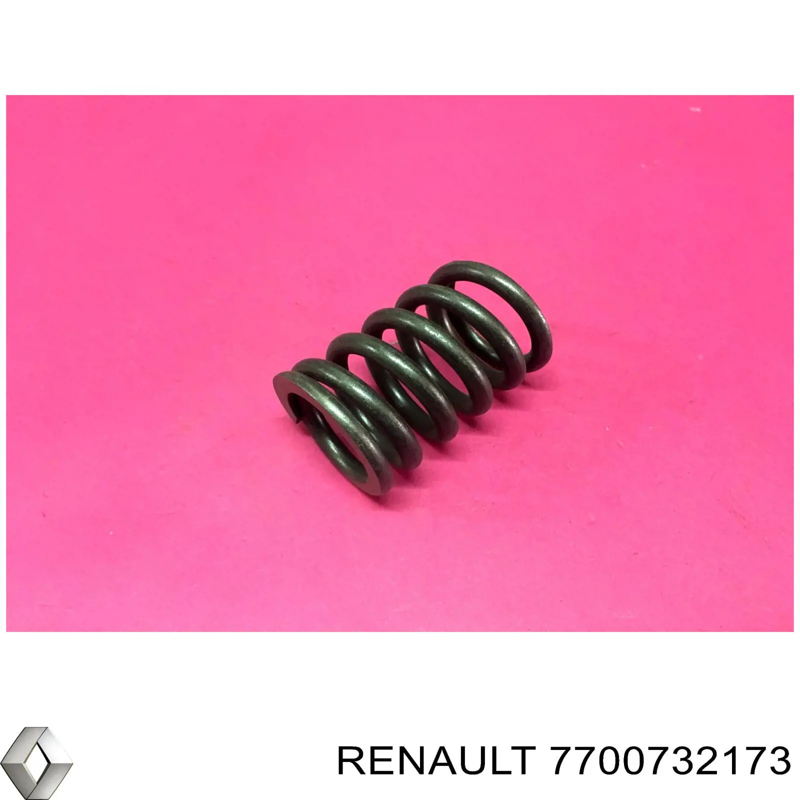 7700732173 Renault (RVI) 