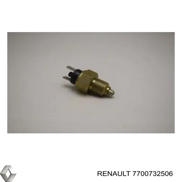7700732506 Renault (RVI)