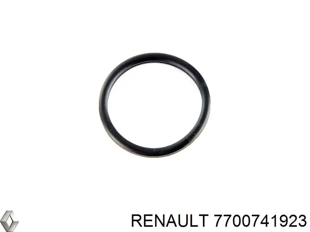 Купить 7700741923 Renault (RVI) Прокладка термостата
