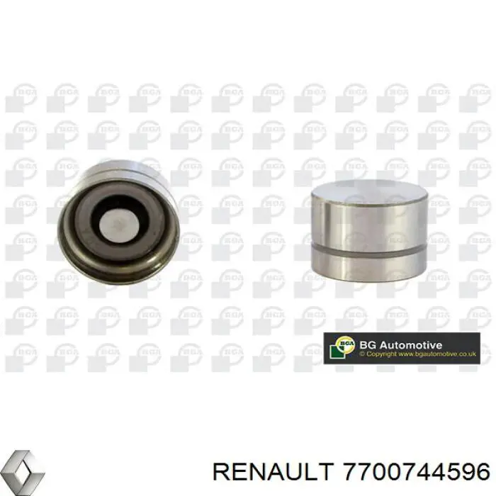 7700744596 Renault (RVI)