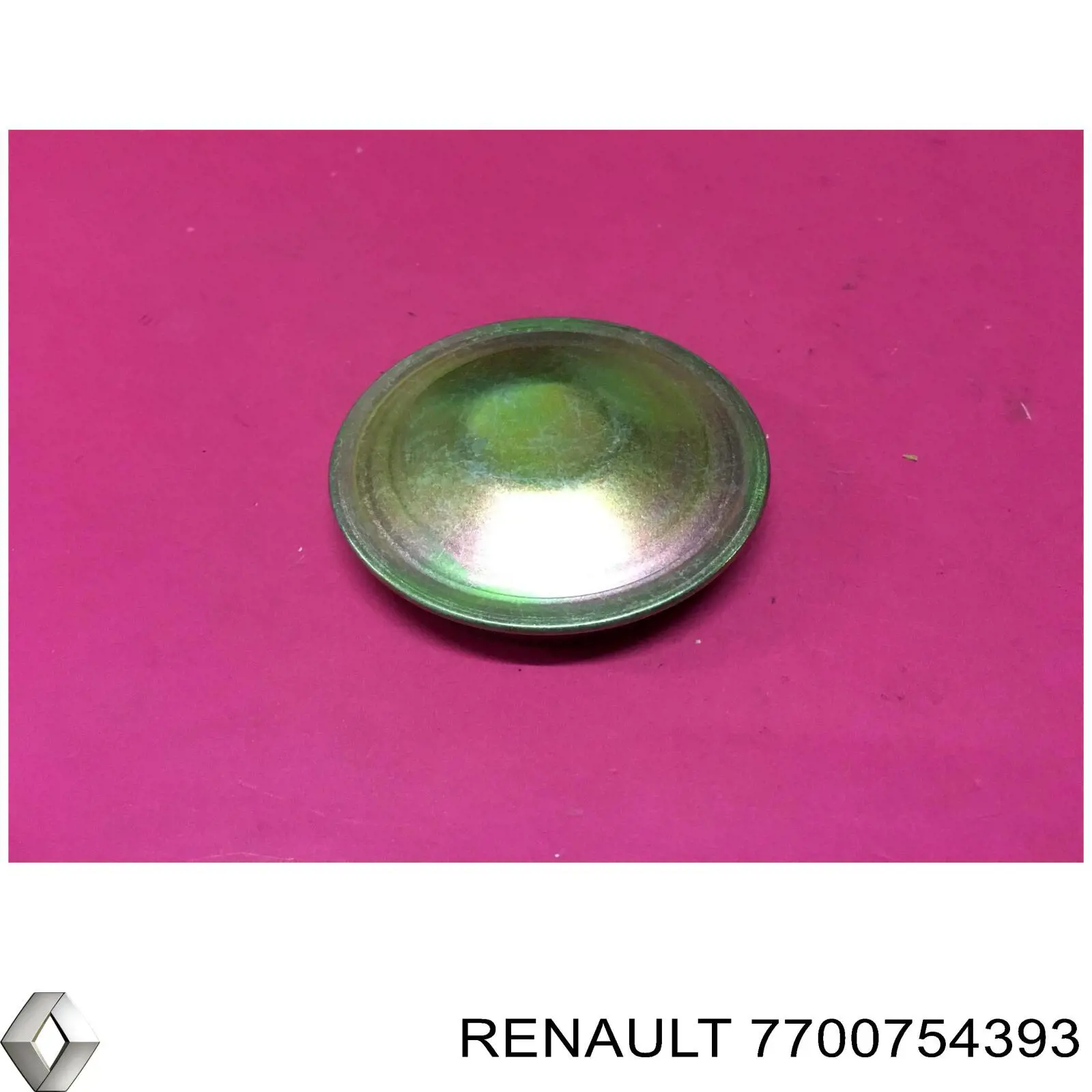 7700754393 Renault (RVI) tampão de cubo