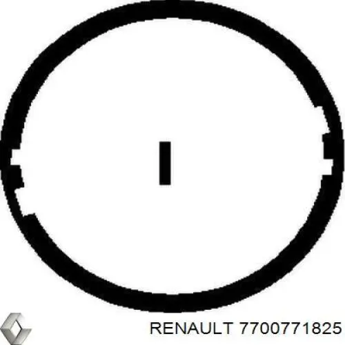 7700771825 Renault (RVI)