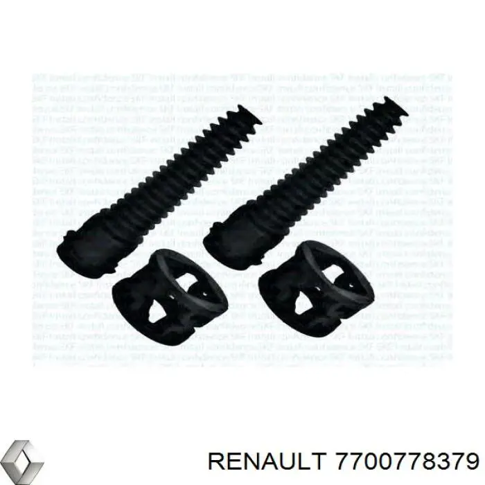  7700778379 Renault (RVI)