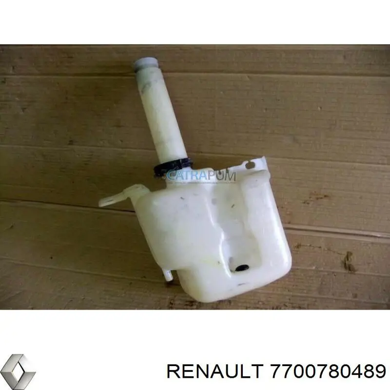  7700780489 Renault (RVI)