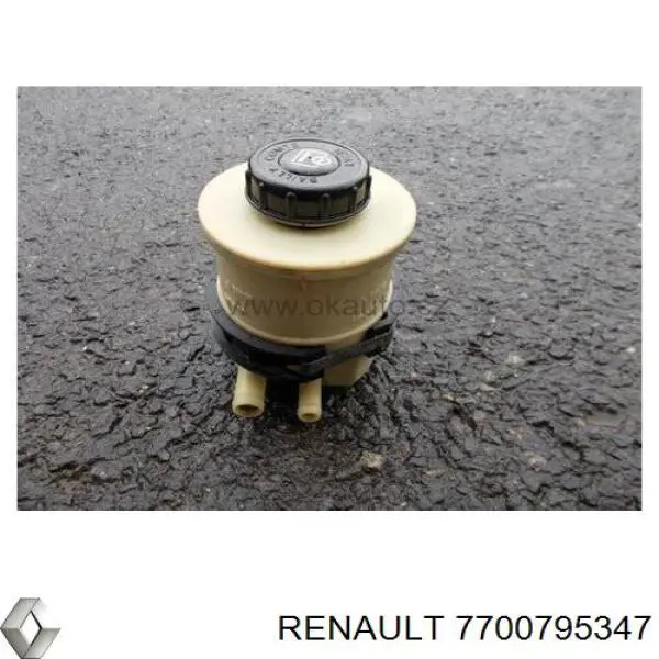 7700795347 Renault (RVI)