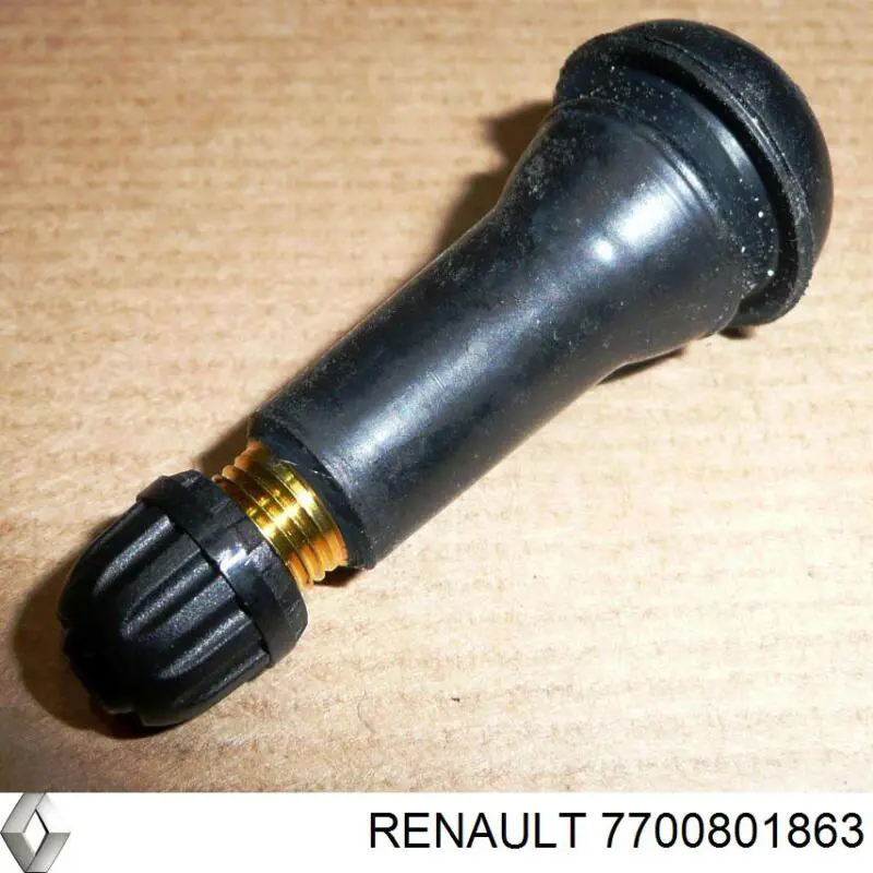 7700801863 Renault (RVI)