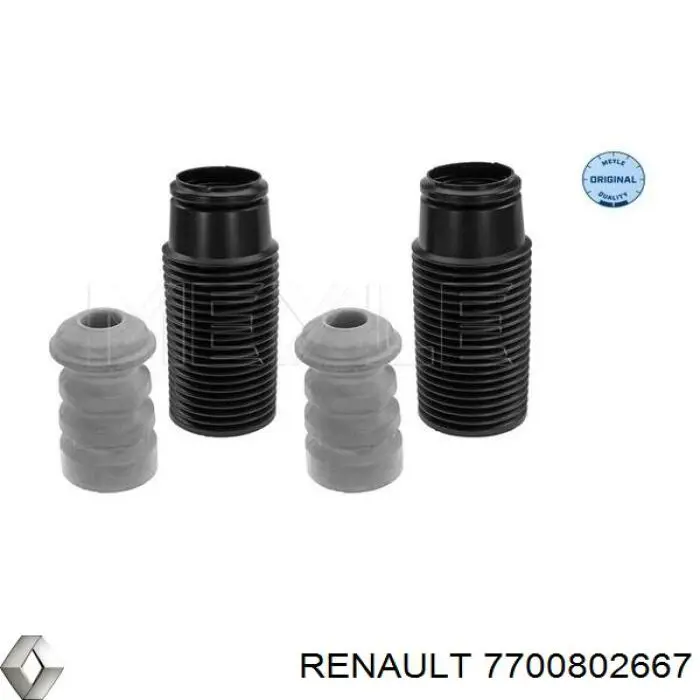 7700802667 Renault (RVI)