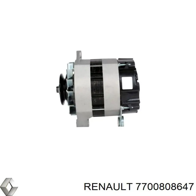 7700808647 Renault (RVI)